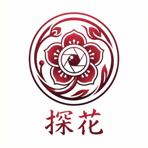 每日大赛